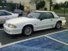 Fox body at S.H.A.P.E.
