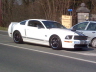 GT500 in profile