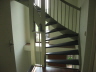Newly Painted Stairs - If it really were as green as it looks in this photo, you really would need some Advil!
