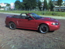 I figured I would start my collection European Mustangs with my favourite European Mustang.  Mine, of course!