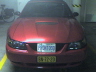 Here are my old Ontario licence plate and my new Dutch plate.