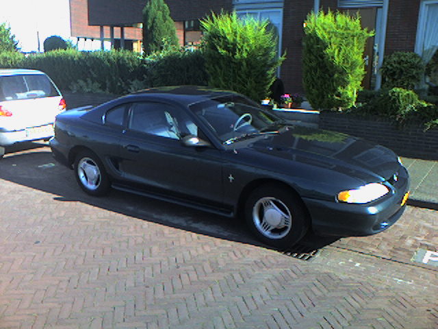 Our other Mustang neighbour.
