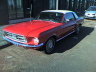 A classic that also lives in our neighbourhood.