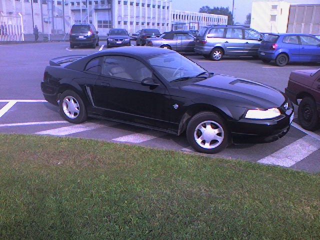 Another S.H.A.P.E. Mustang...