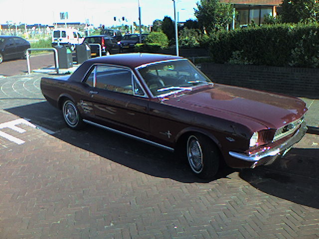 This bad boy was in the neighbourhood for a few days.